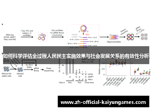 如何科学评估全过程人民民主实施效果与社会发展关系的有效性分析