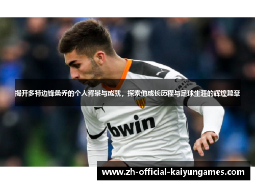 揭开多特边锋桑乔的个人背景与成就，探索他成长历程与足球生涯的辉煌篇章