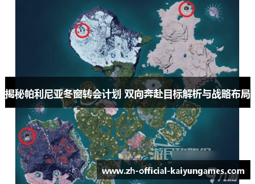 揭秘帕利尼亚冬窗转会计划 双向奔赴目标解析与战略布局